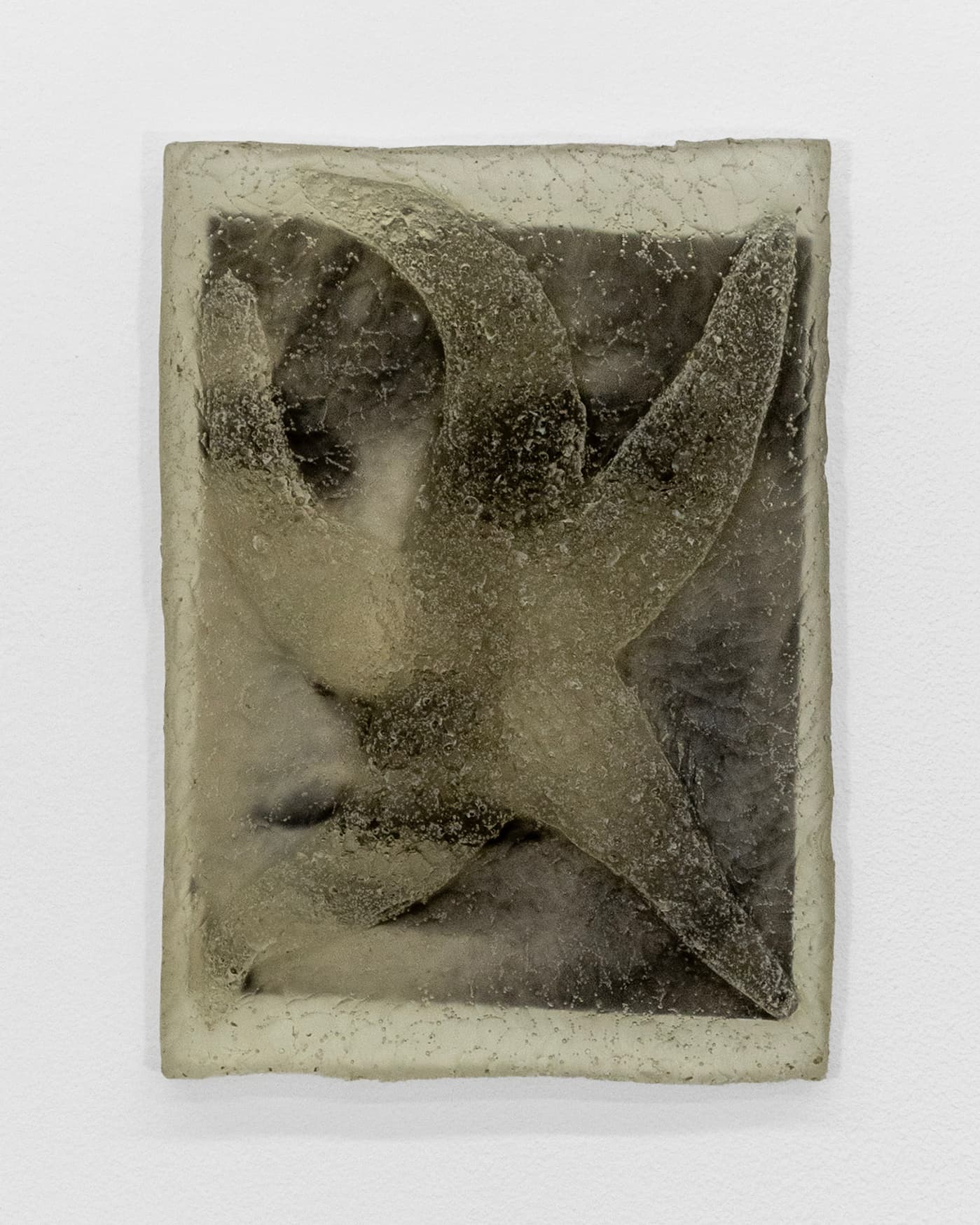 Brian Smith
Afterimage, 2025, 
Cast resin, found image
8 x 6 x 1 in.