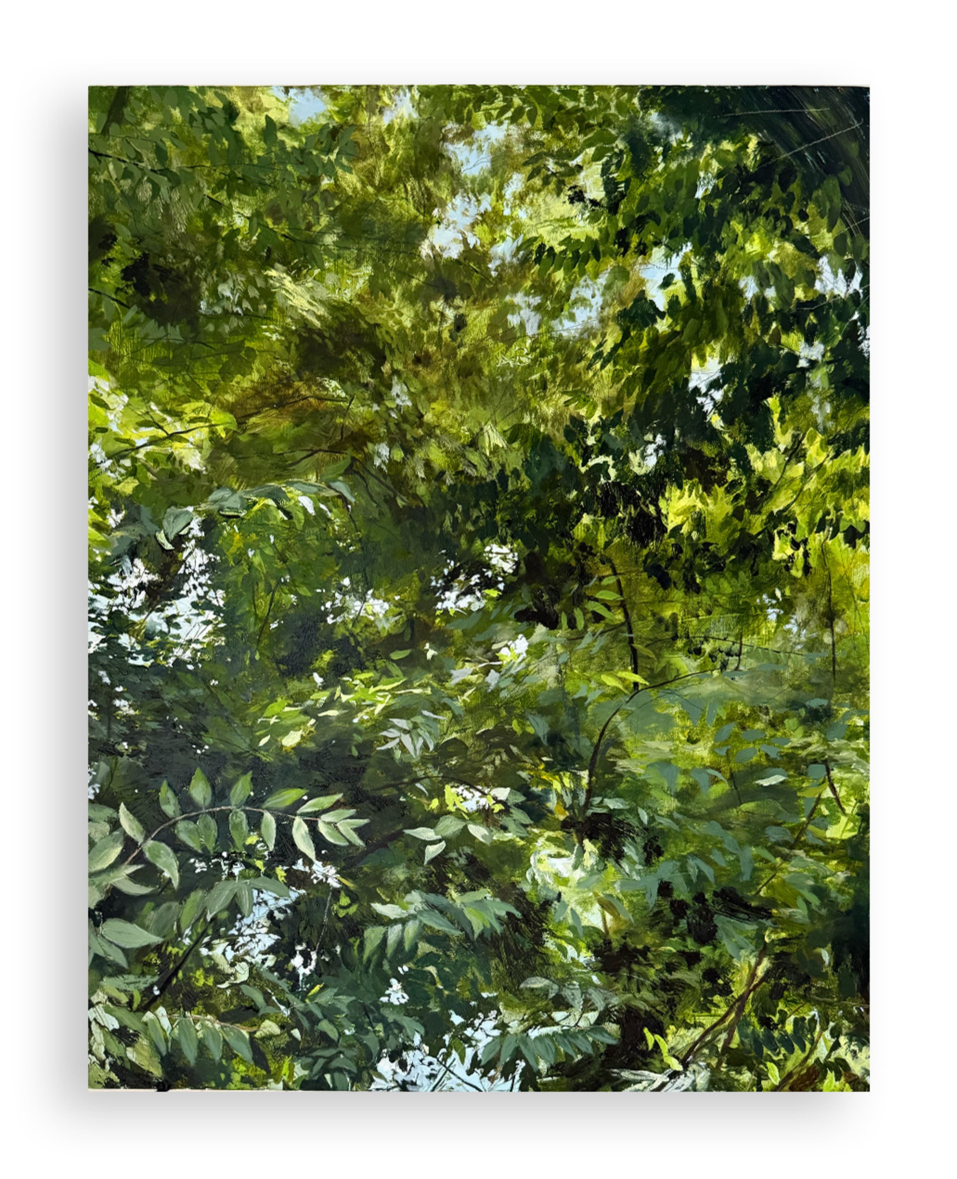 Ellen Weitkamp
July 16th, afternoon, 2024
oil on panel
19 ⅜ x 15 ¼ inches